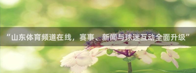山猫足球直播在线直播观看：“山东体育频道在线，赛事、新闻与球迷互动全面升级”