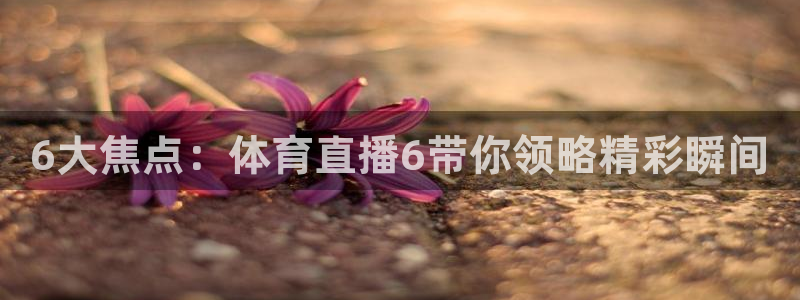 山猫篮球体育直播：6大焦点：体育直播6带你领略精彩瞬间