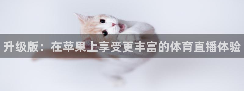 山猫足球免费直播高清：升级版：在苹果上享受更丰富的体育直播体验