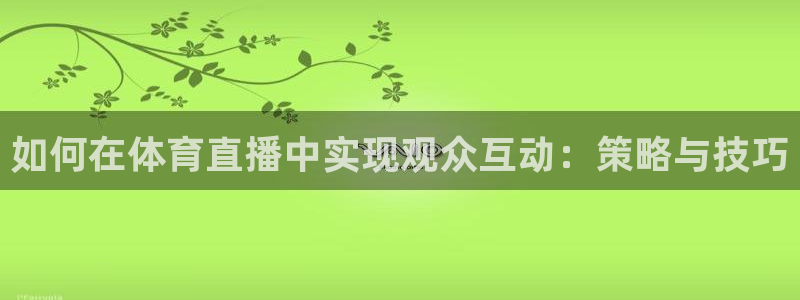 山猫看球免费高清直播：如何在体育直播中实现观众互动：策略与技巧