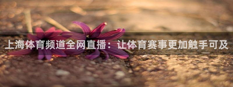 山猫看球免费高清直播：上海体育频道全网直播：让体育赛事更加触手可及