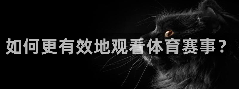 山猫体育免费篮球直播：如何更有效地观看体育赛事？