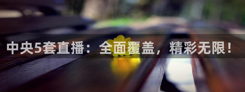 山猫免费直播：中央5套直播：全面覆盖，精彩无限！