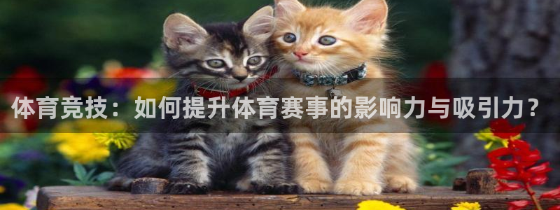 山猫直播体育平台直播：体育竞技：如何提升体育赛事的影响力与吸引力？